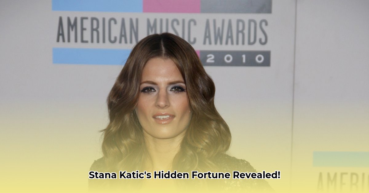 net-worth-stana-katic